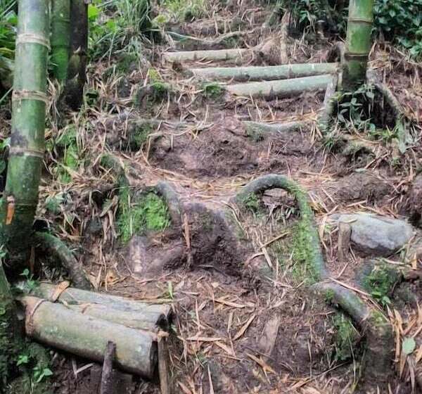 هتل Hacienda Santa Clara