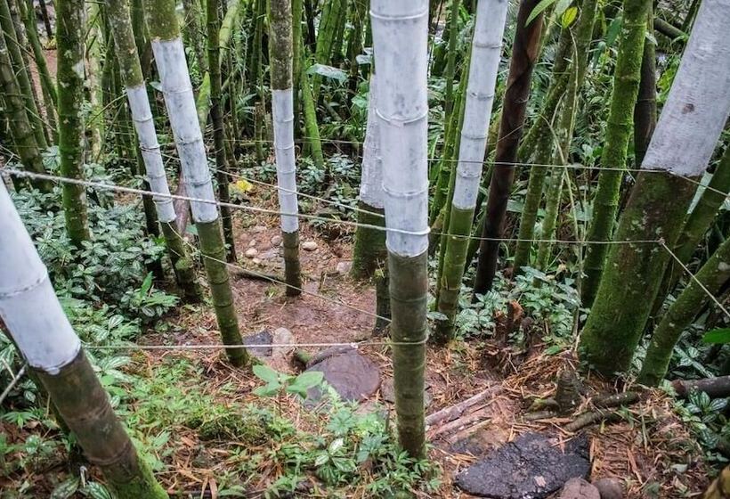 هتل Hacienda Santa Clara