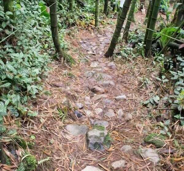 هتل Hacienda Santa Clara