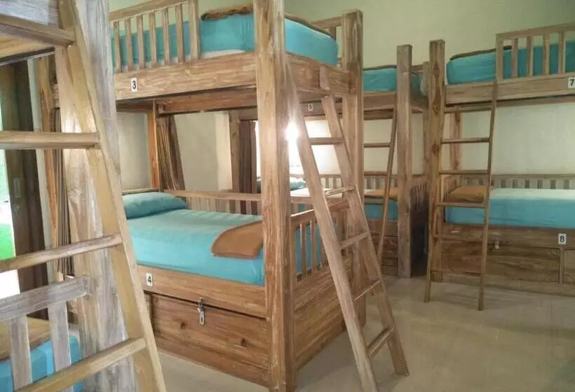Lembongan Hostel