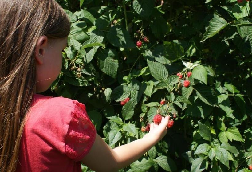 تختخواب و صبحانه Kraljska Koliba   Kralje S Cottage