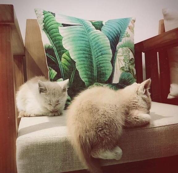 호텔 Zhangjiajie Zhijue Art