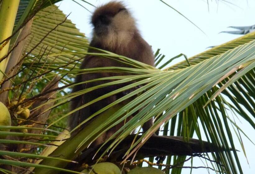 צימר Emildale Villa