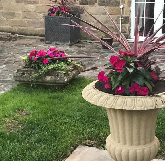 Bed and Breakfast Sheriff Lodge