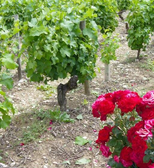 צימר La Pouillyzotte