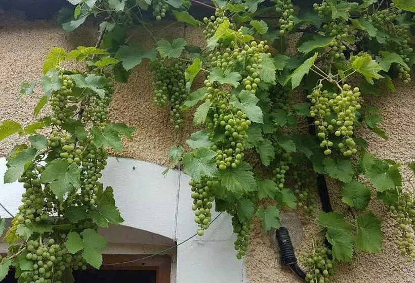 Aamiaismajoitus (B&B) La Pouillyzotte