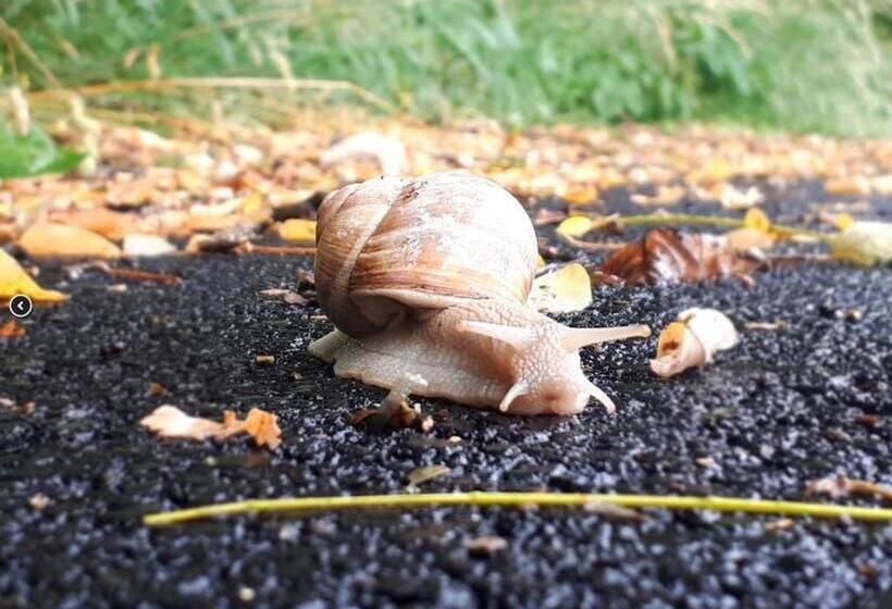 צימר La Pouillyzotte