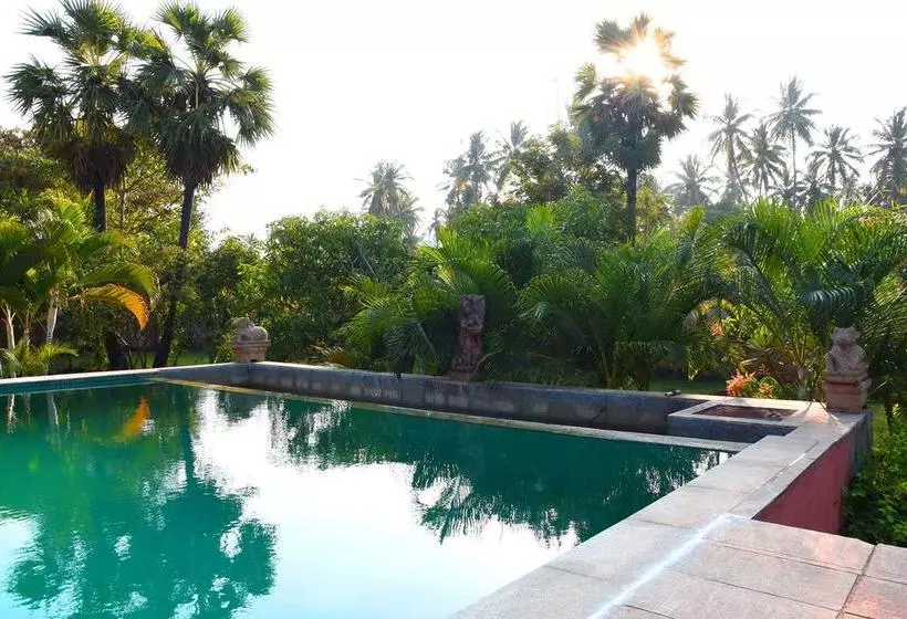 Bed and Breakfast Lily Pool Villa