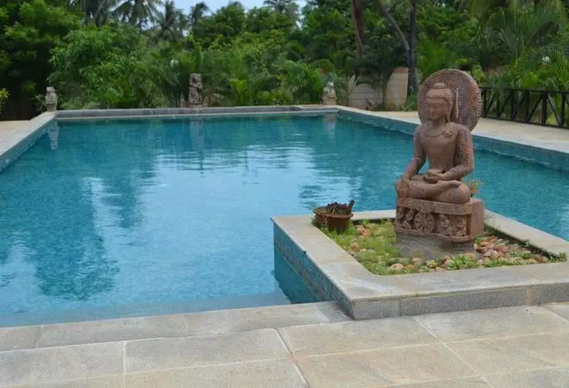 Bed and Breakfast Lily Pool Villa