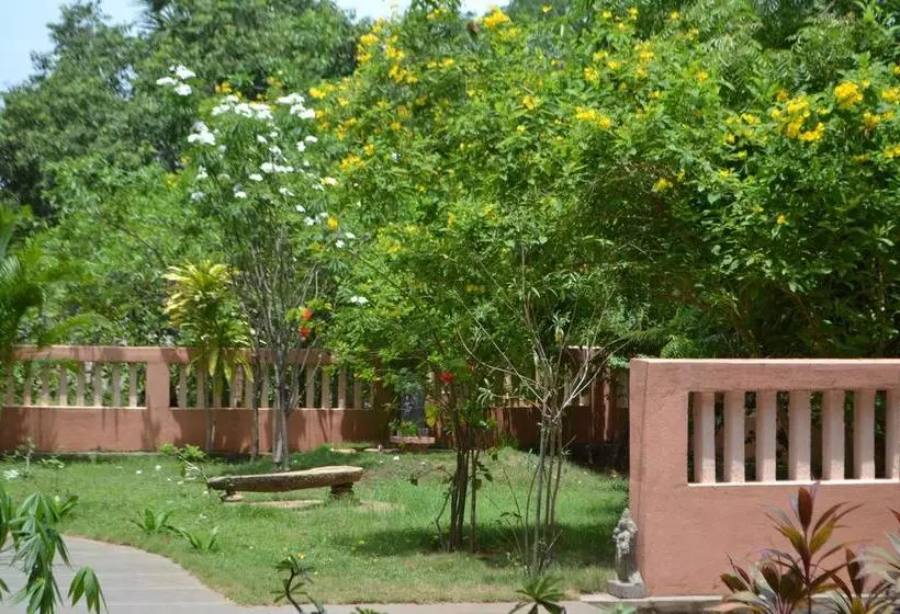 Bed and Breakfast Lily Pool Villa