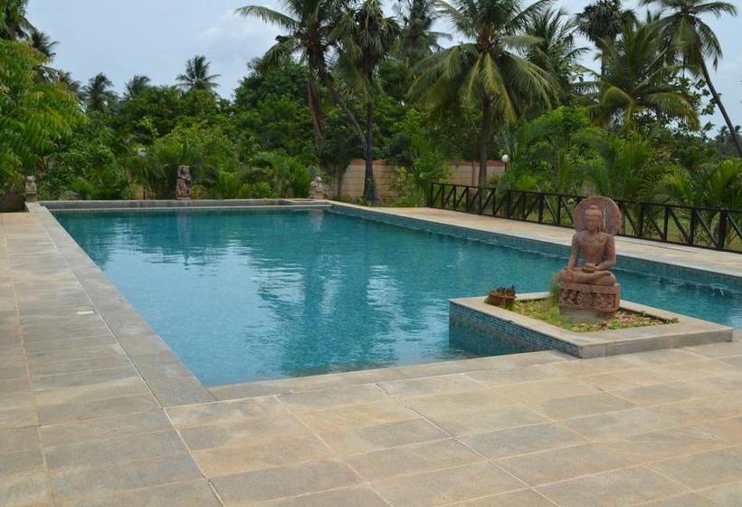 تختخواب و صبحانه Lily Pool Villa