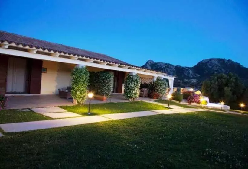 Cento Ulivi B&b