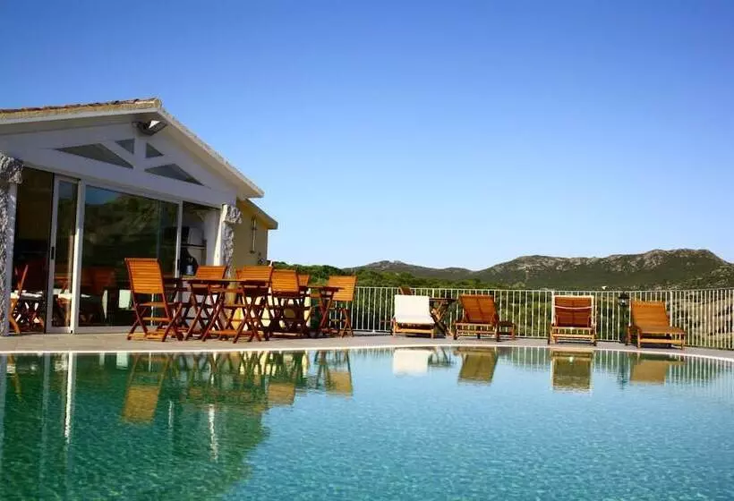 Cento Ulivi B&b