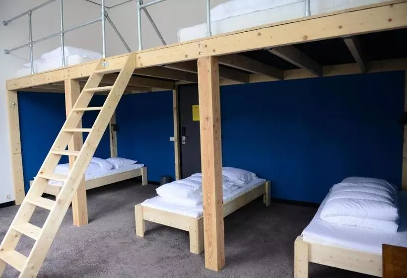 Hostel Roots