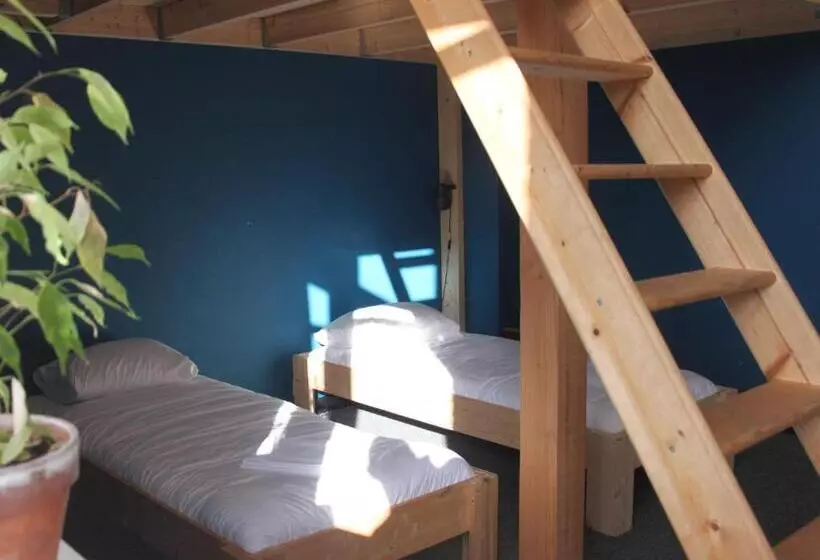 Hostel Roots