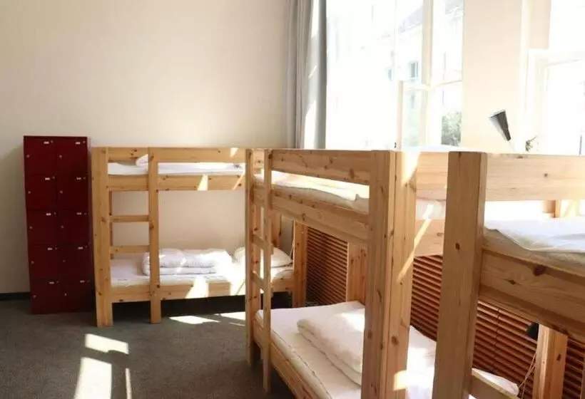 Hostel Roots