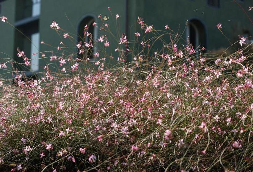 בית מלון כפרי Locanda La Raia