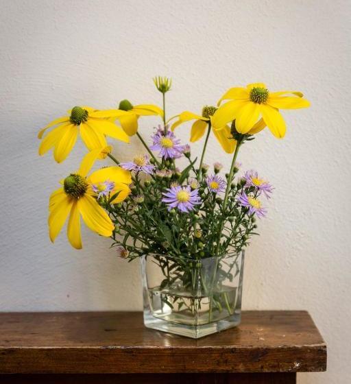 בית מלון כפרי Locanda La Raia