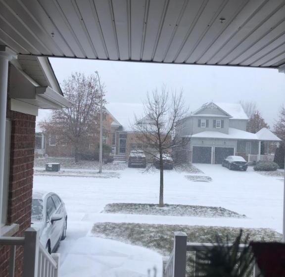 Willow Pond Satellite B&b