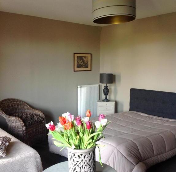 ベッドアンドブレックファースト La Villa Des Rosiers