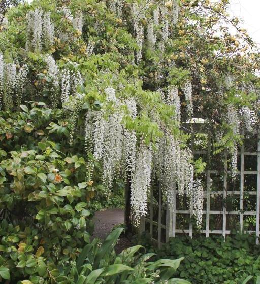 Browns Boutique Bed And Breakfast