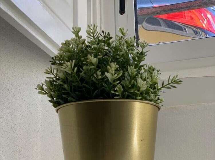 客栈 Sintra1012 Boutique Guesthouse