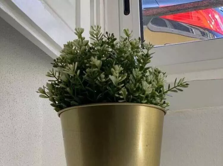 Hostelli Sintra1012 Boutique Guesthouse