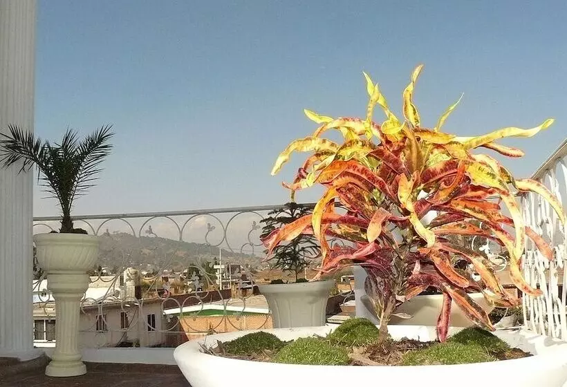 Hotelli Cocoyotla
