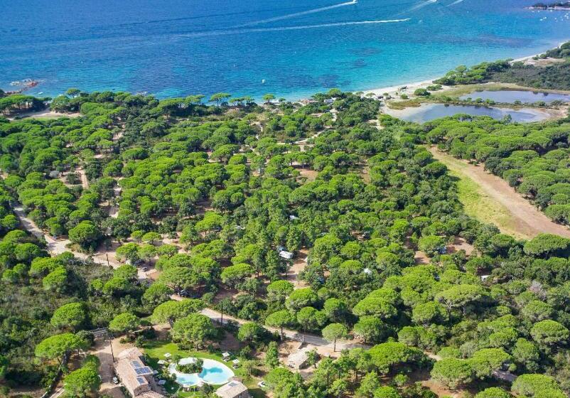 هتل Hôtel Ambassador Palombaggia