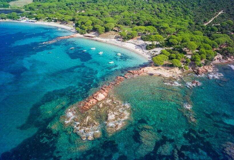 هتل Hôtel Ambassador Palombaggia