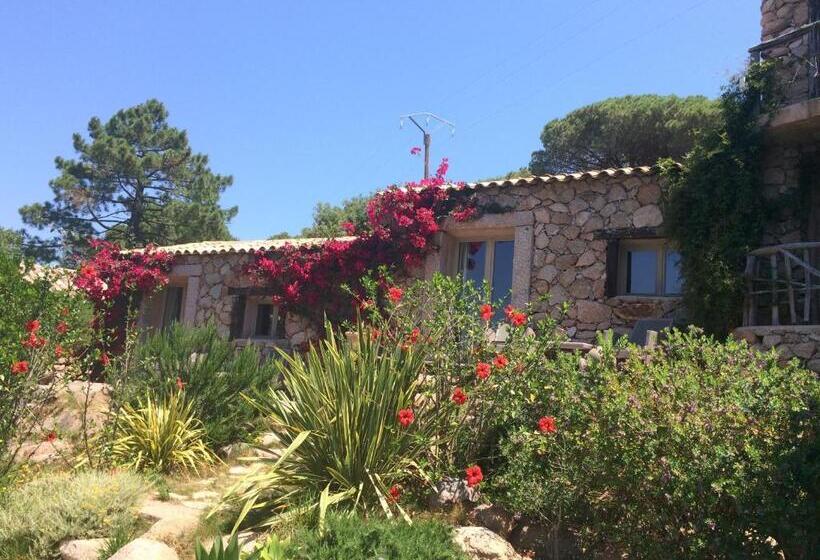 هتل Hôtel Ambassador Palombaggia