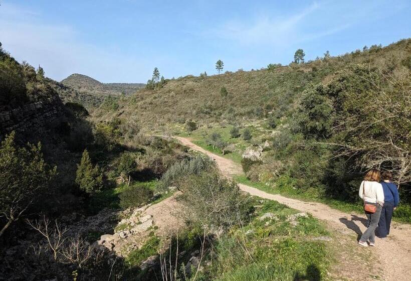 Сельский отель Casa Boho   Turismo Rural