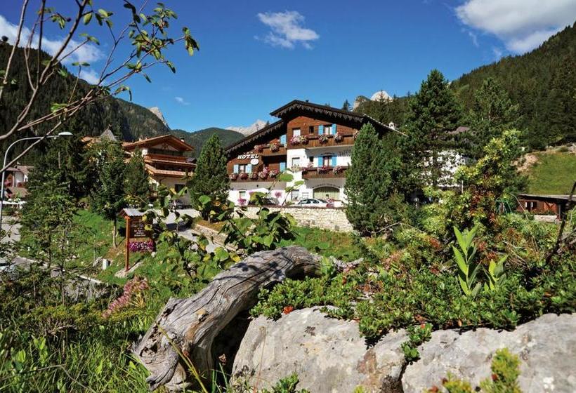 בית מלון כפרי Villa Eden