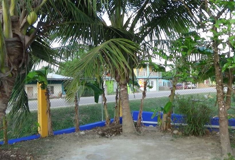 ペンション Hacienda Tropical Guest House