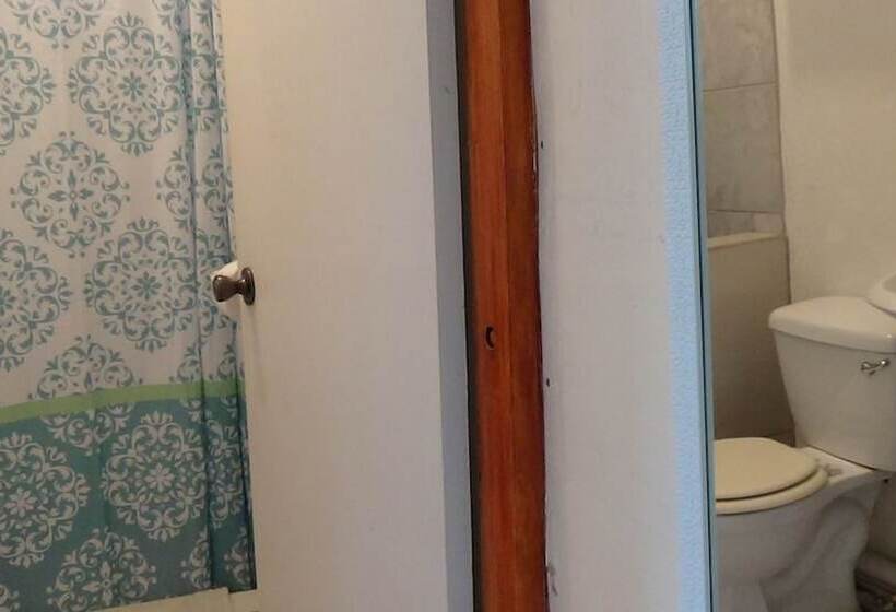 ペンション Hacienda Tropical Guest House