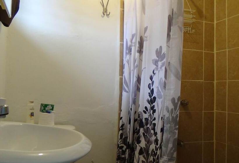 ペンション Hacienda Tropical Guest House