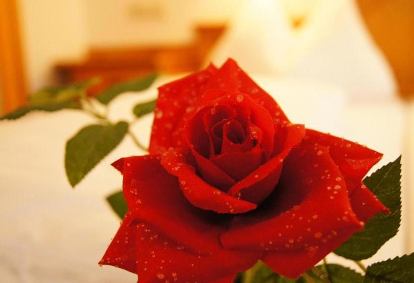 בית מלון כפרי Haus Hubertus