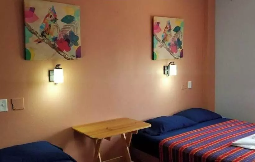 Hotelli Maya Bella Downtown