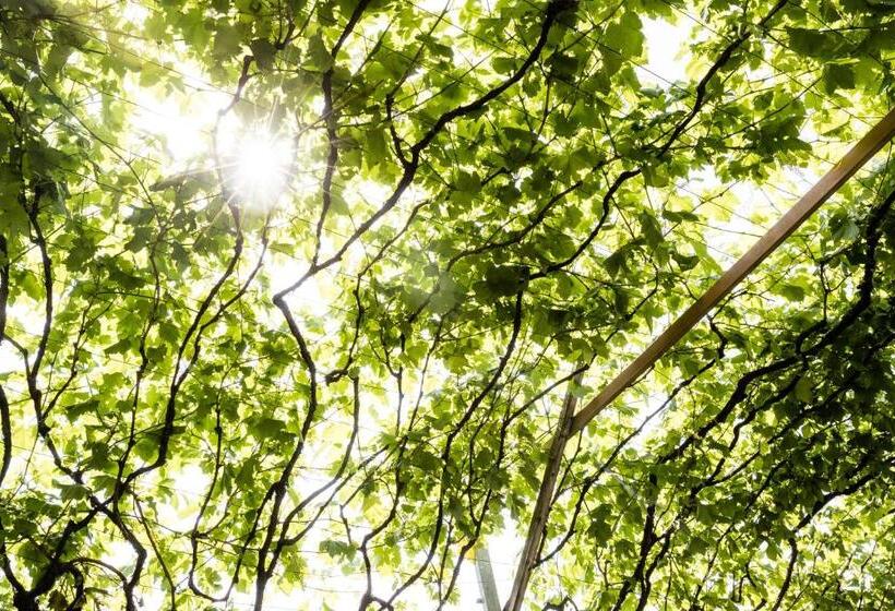 호텔 Nutzhof Mediterran Flair