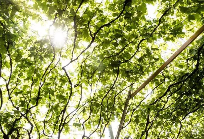 هتل Nutzhof   Mediterran Flair