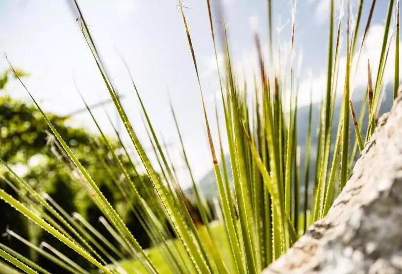 هتل Nutzhof   Mediterran Flair