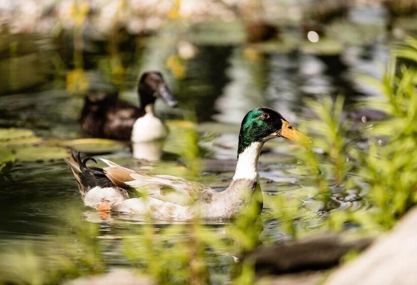 호텔 Nutzhof Mediterran Flair