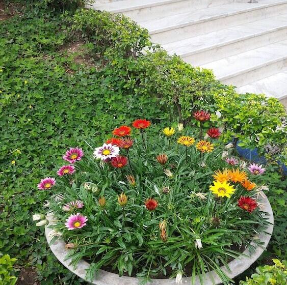 Soratur Hotel & Coworking