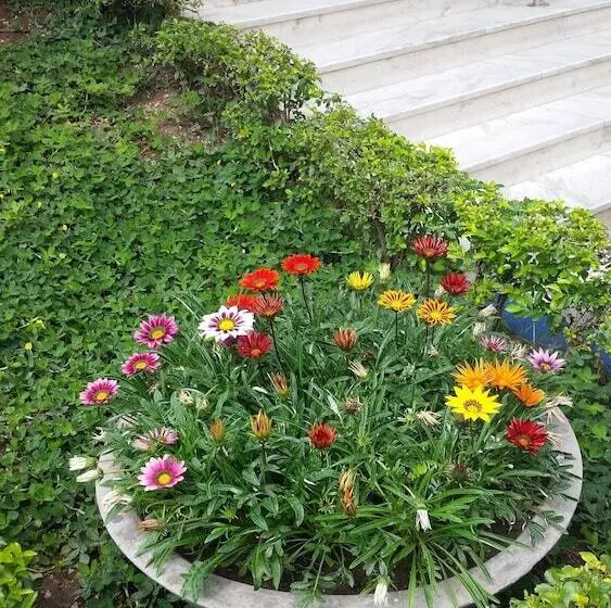 Soratur Hotel & Coworking