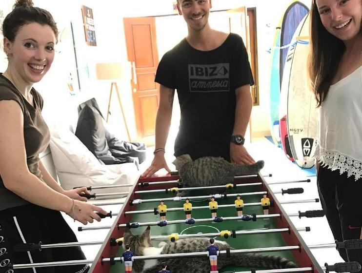 호스텔 Point Break Canggu