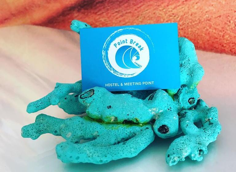 호스텔 Point Break Canggu