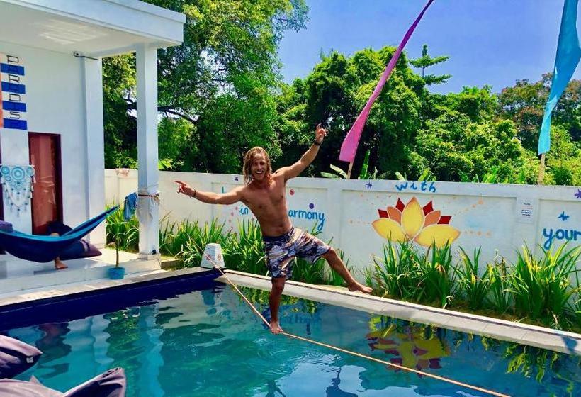 호스텔 Point Break Canggu