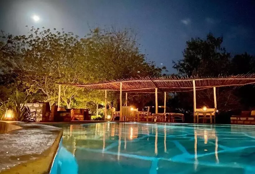 تختخواب و صبحانه Rock And Sea Resort