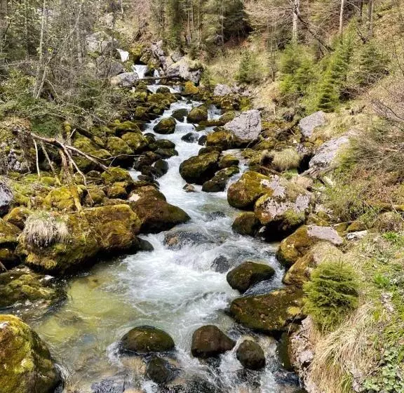 Fenix Hall Boutique Hotel Hallstatt