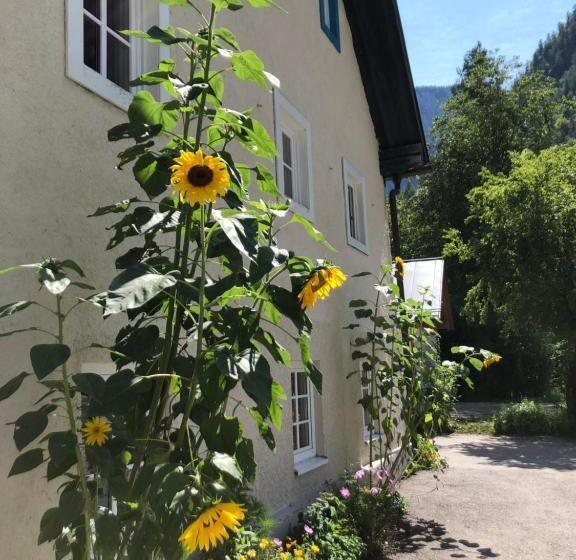 Fenix Hall Boutique Hotel Hallstatt